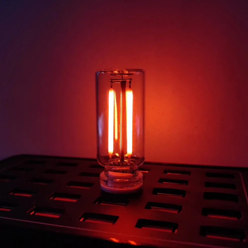 A glass Edison bulb with two glowing filaments sits on a metal tray against a dark red background.