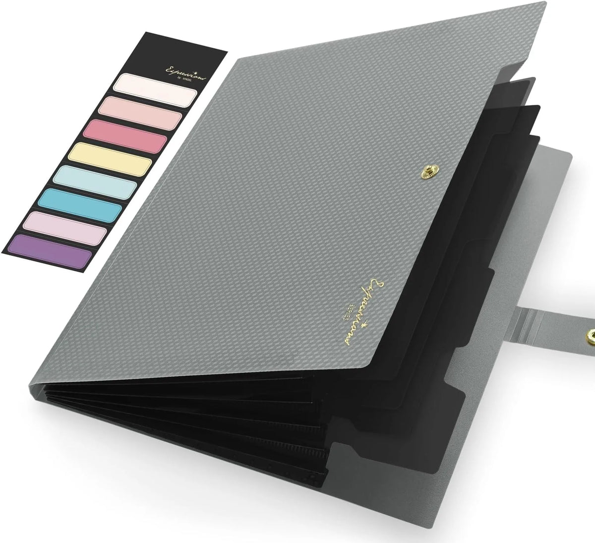 A gray expanding A4 file folder with five colored pockets is shown open on a white background.