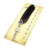 A set of retro calligraphy dip pens and a feather pen displayed in a vintage-style gift box.