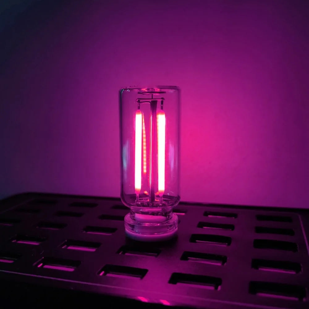 A glass bulb with two glowing red LED filaments sits on a dark metal tray against a purple background.