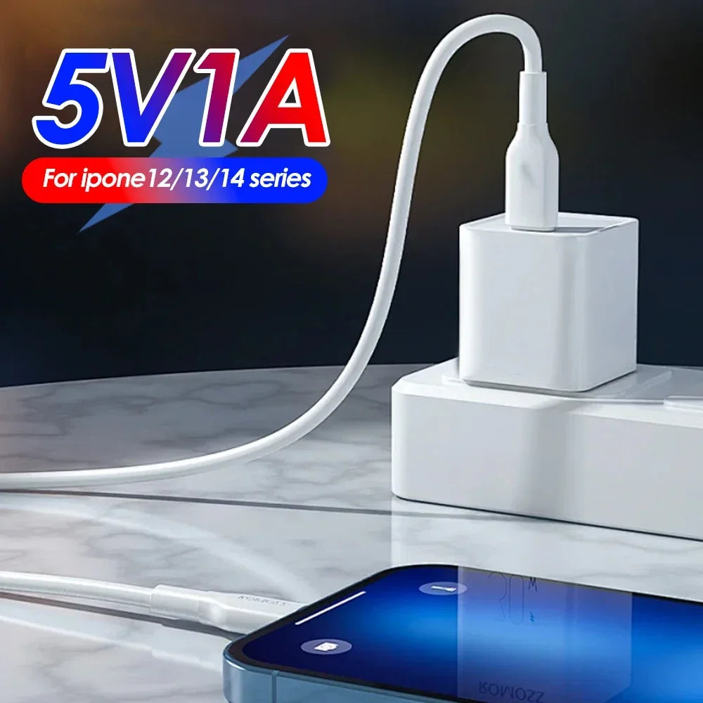 A white universal USB wall charger cube with a white cable is shown next to an iPhone.