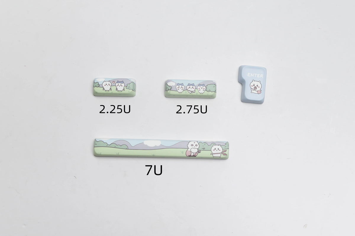 Three dye-sublimated PBT keycaps in different sizes labeled 2.25U, 2.75U, and 7U with an Enter keycap.