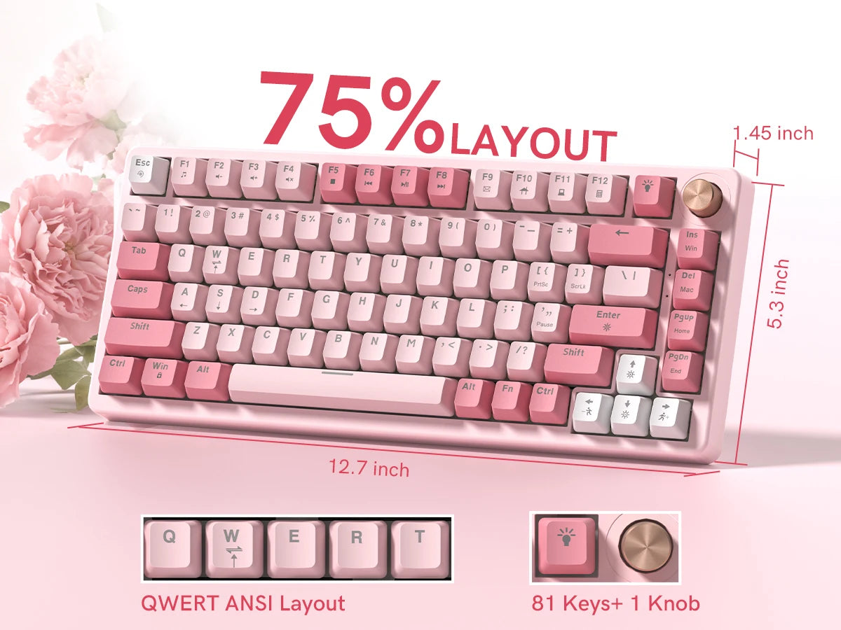 A pink mechanical keyboard layout showing the QWERT ANSI layout and an 81 keys plus one knob.