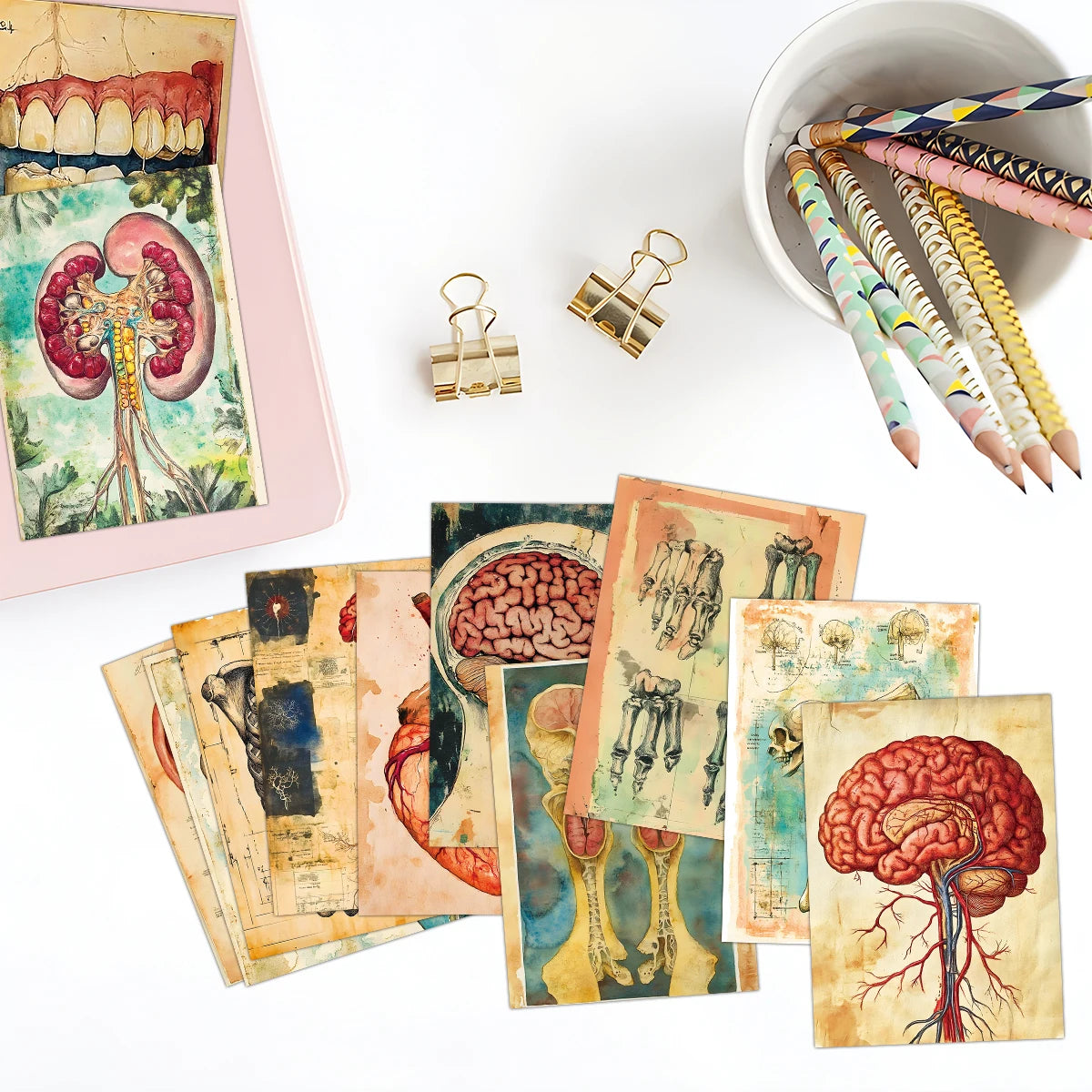 A collection of vintage anatomical biology postcards and a set of gold-toned tools are displayed on a white surface.