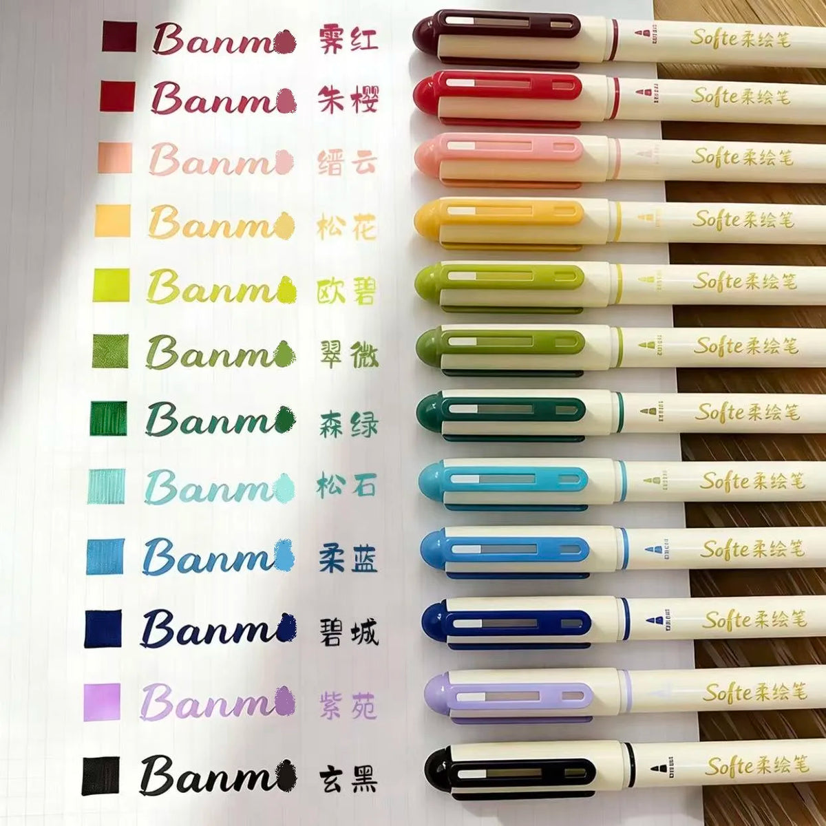 Eine Sammlung von schwarzen und farbigen Banm Soft-Tip-Pinselstiften für Kalligrafie und Kunst