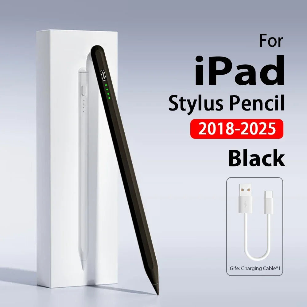 Black stylus pen for iPad with a charging cable shown next to its white storage case