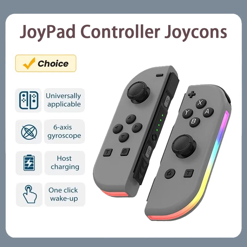 A pair of gray Joy-Con style controllers shown with a checkmark indicating choice.
