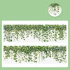 Green floral vine transparent PET washi tape for journaling and crafts