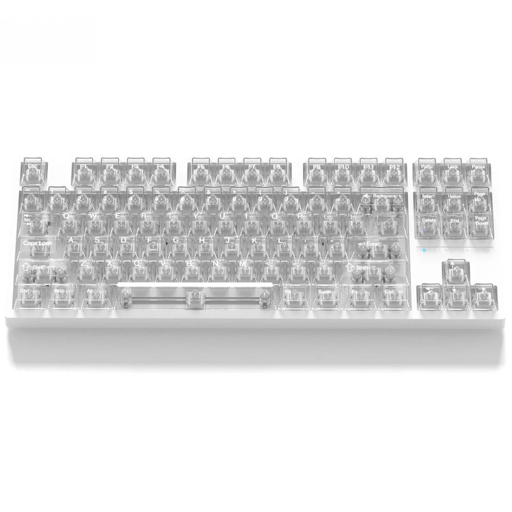 A row of clear and frosted mechanical keyboard keycaps arranged in a tray.