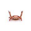 Une petite sculpture de crabe réaliste utilisée comme porte-stylo de bureau.