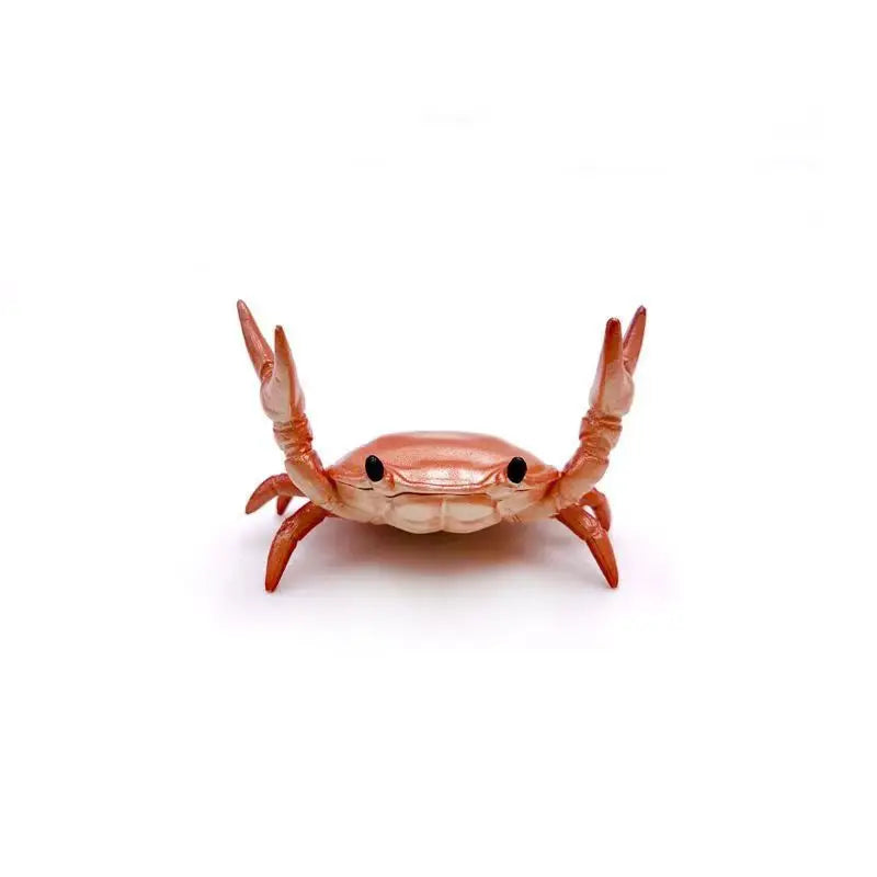 Une petite sculpture de crabe réaliste utilisée comme porte-stylo de bureau.