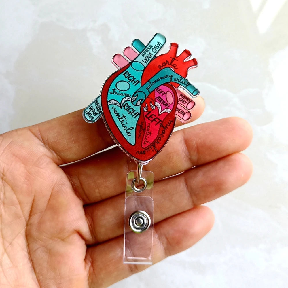An anatomical diagram badge reel showing a heart with labeled arteries and veins in red and blue.