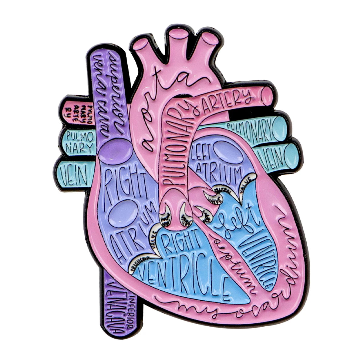 An enamel pin depicting a stylized human heart with anatomical labels like the aorta, pulmonary artery, atrium, and ventricle
