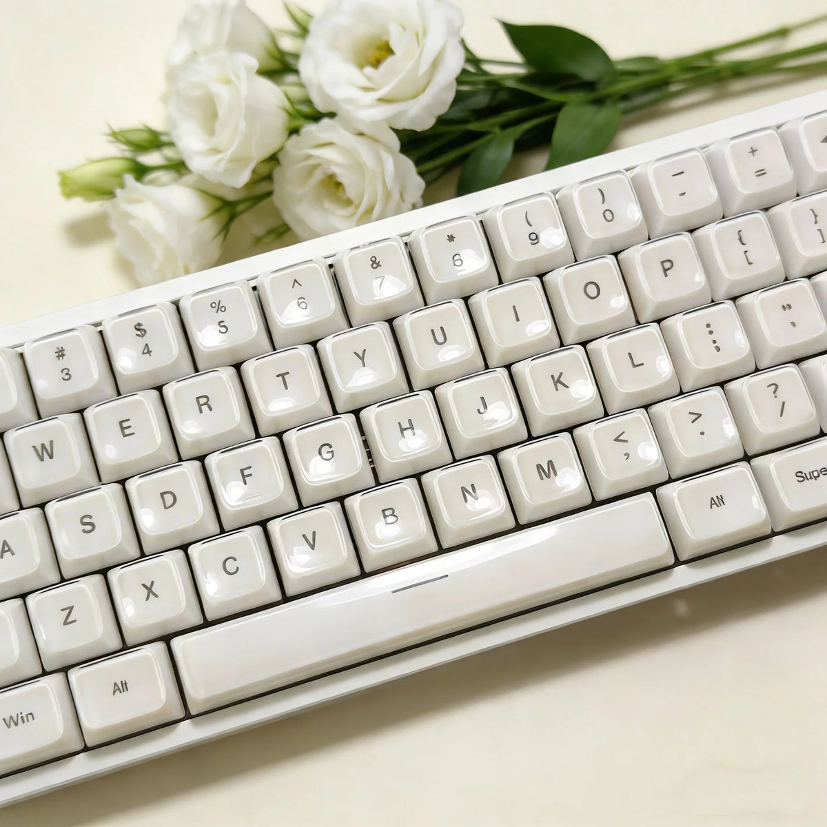 A close-up shot of a white mechanical keyboard with crystal jelly side-printed keycaps and green foliage in the background.