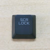 A dark blue keycap labeled SCR LOCK for a Dell Alienware keyboard.