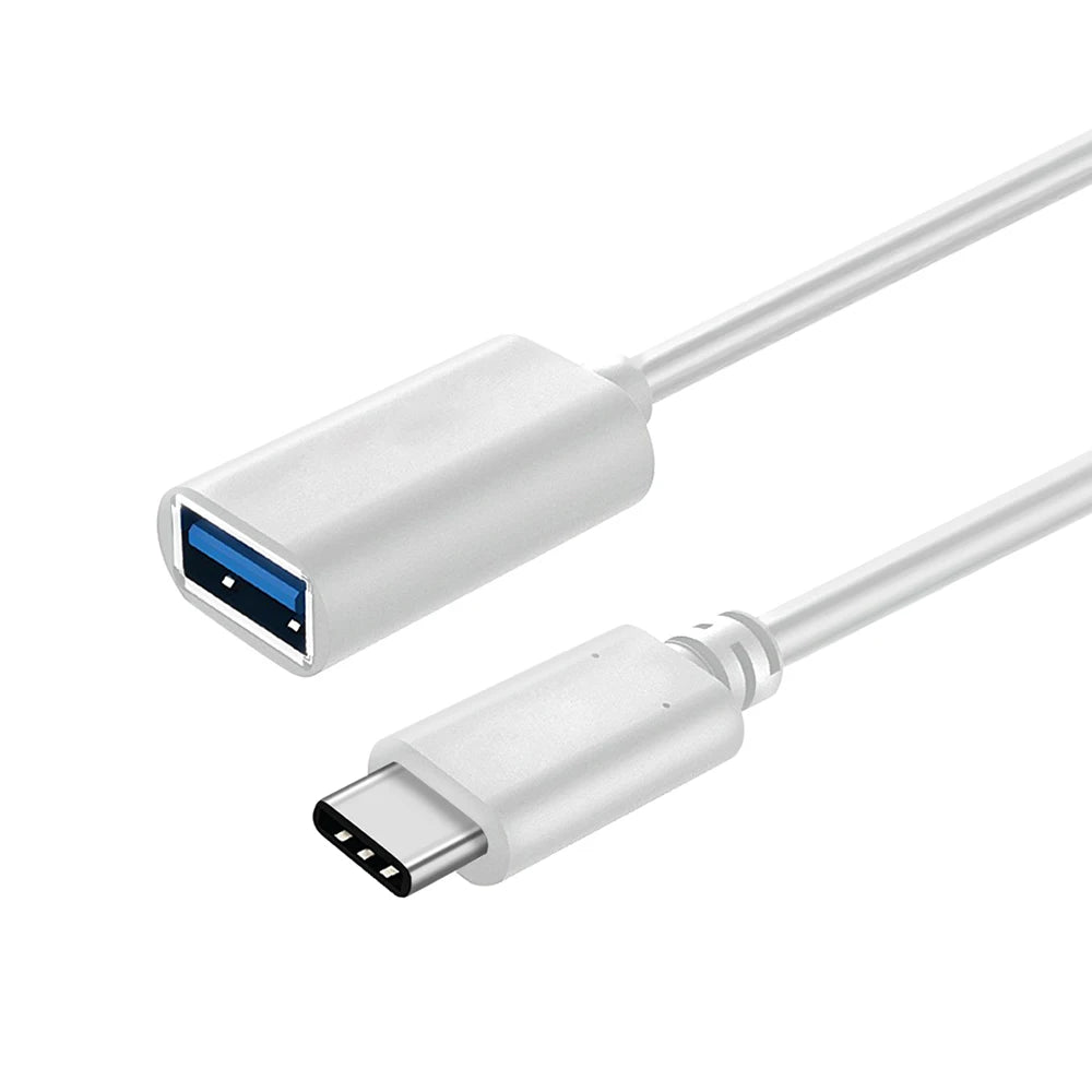 Silver USB-C to USB-A adapter cable with a connector on one end and a plug on the other.
