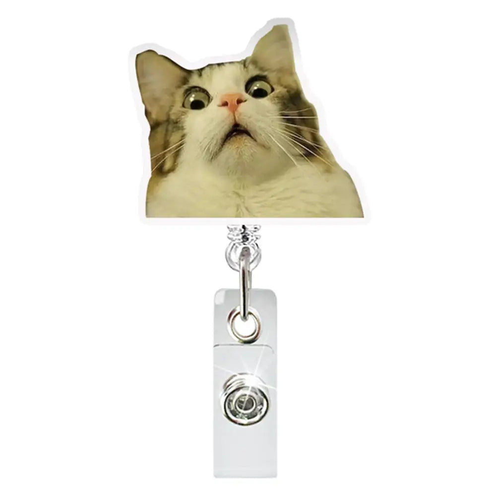 A close-up photo of a cat looking intensely at the camera, positioned above a clear retractable ID badge holder.