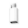 A white USB-C to Micro USB adapter for charging and data sync.