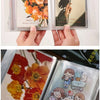 A set of clear photo storage booklets featuring floral and nature-themed images.