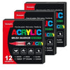 A set of 12 acrylic brush markers in various colors and tips for art and crafting