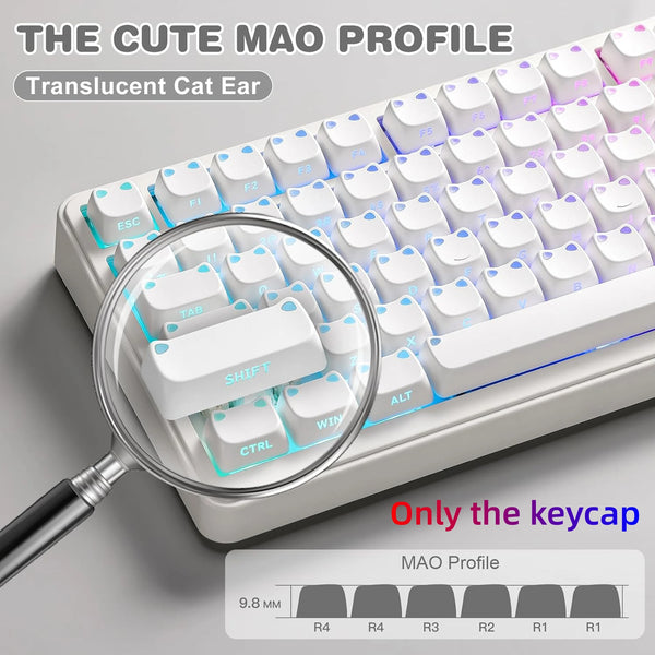 A close-up view of a translucent cat ear keycap on a white mechanical keyboard with a magnifying glass.