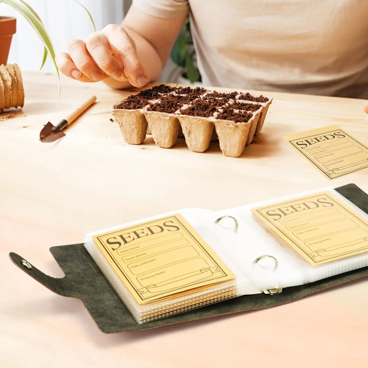 A wooden serving board displays a tart filled with dark seeds and a set of labeled seed storage cards.