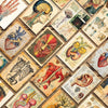 A collage of vintage anatomical biology postcards featuring detailed drawings of human organs and skeletal structures.