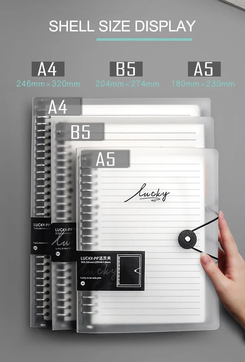 Affichage de carnets à feuilles détachables transparents des tailles A4, B5 et A5.