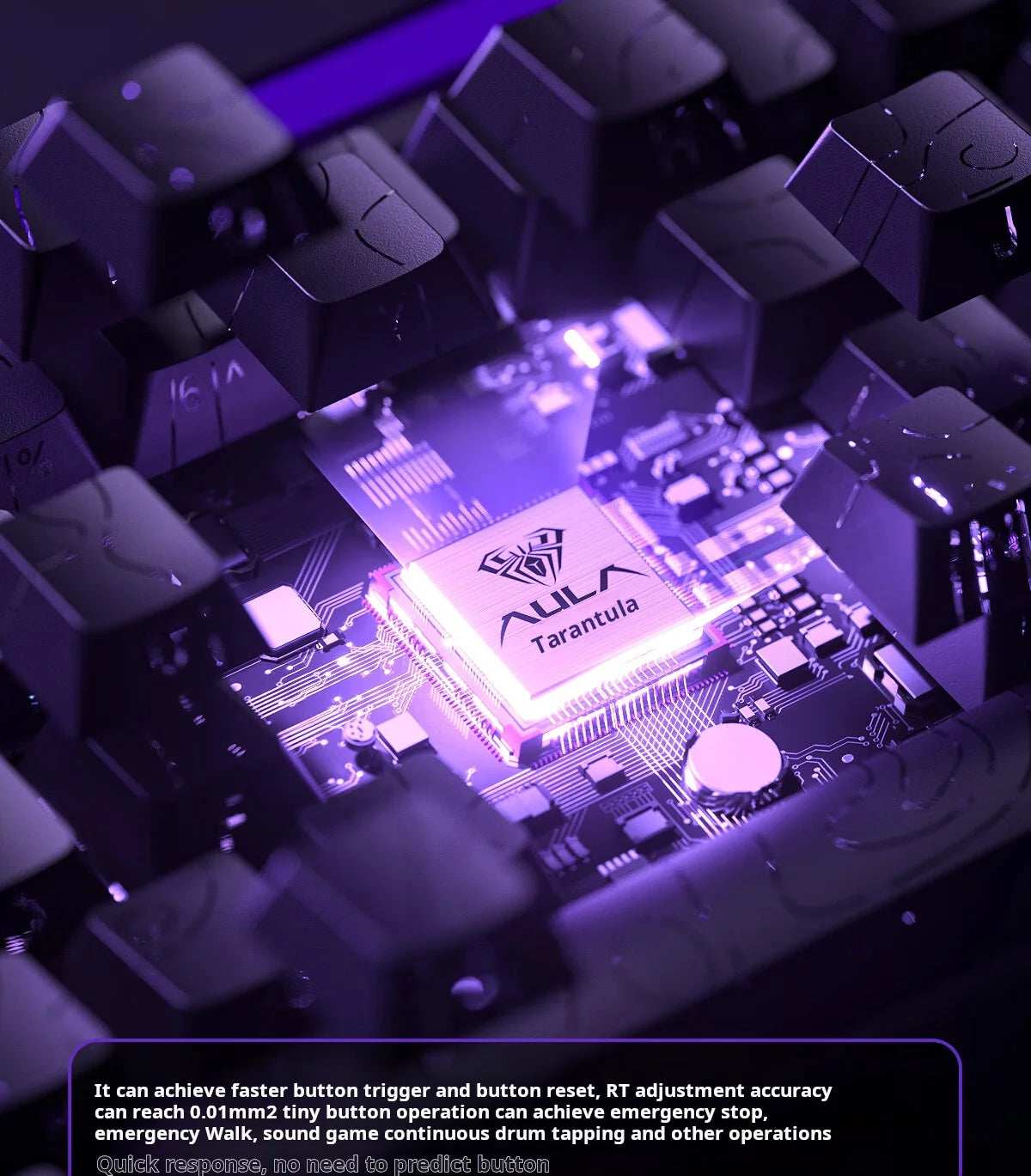 Gros plan d'une carte de circuit imprimé de clavier mécanique avec des composants violets lumineux et des touches sombres.