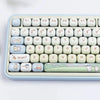 A close-up view of a light blue mechanical keyboard featuring custom dye-sublimated PBT keycaps with cute animal designs.