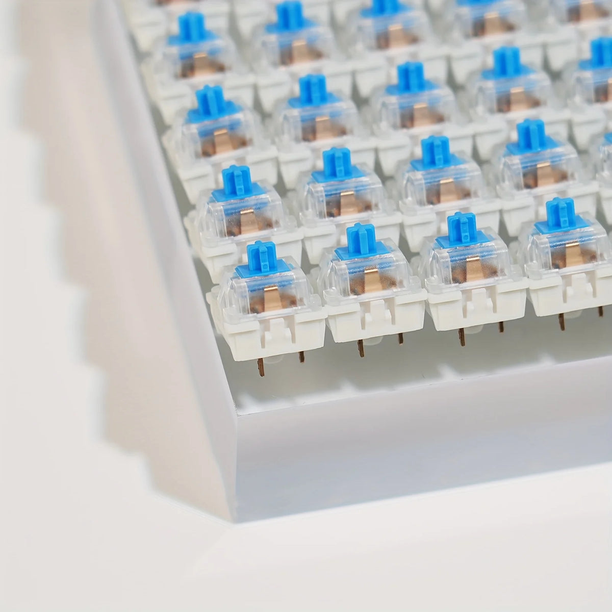 A close-up view of small blue and clear mechanical keyboard switches arranged in a white tray.