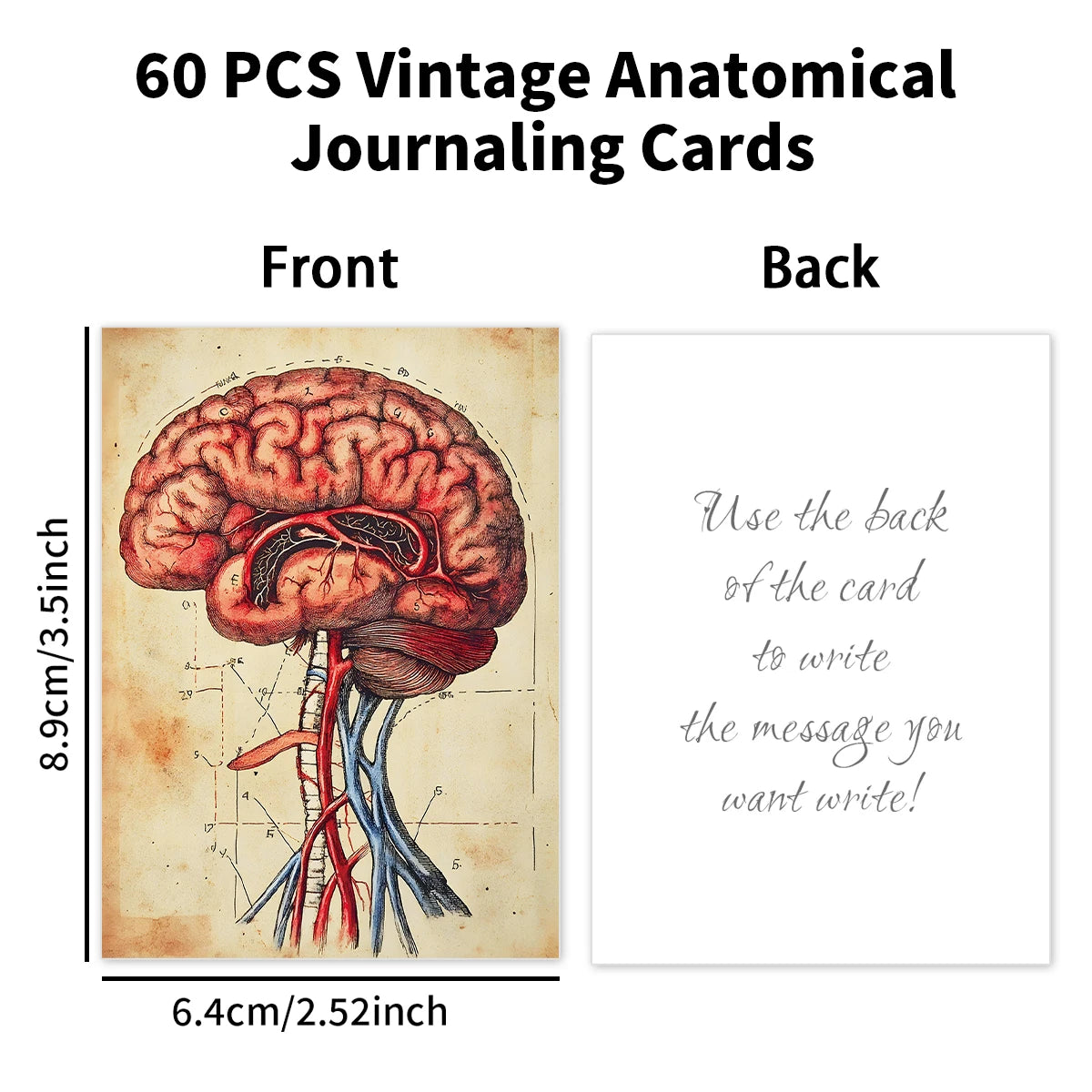 Front and back of a vintage anatomical journaling card showing a brain illustration and writing instructions