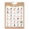 Interactive alphabet learning poster featuring various bird illustrations and sounds for children.
