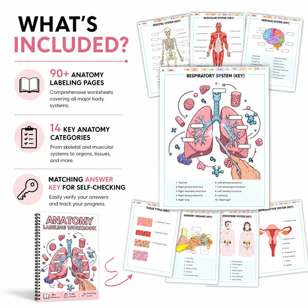 Anatomy labeling workbook showing various anatomy pages, key categories, and a tissue types section.